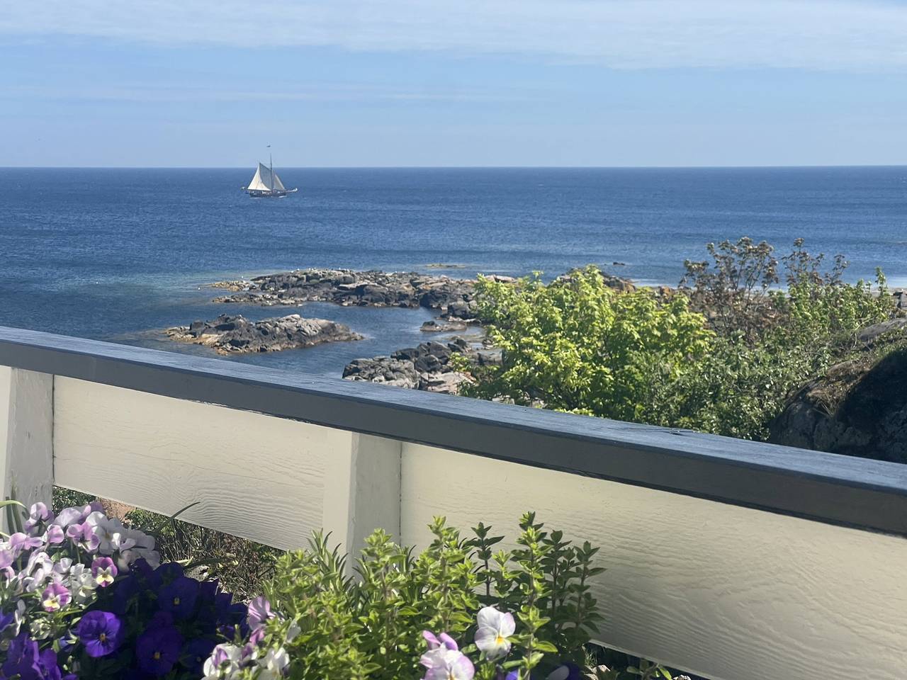 Entire apartment, Sea views & cliffs –50 m from the sea in Sandvig. in Sandvig, Bornholm