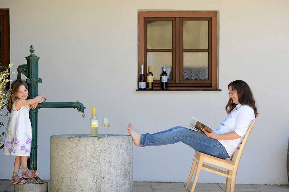 Ganze Wohnung, Ebenerdige/ barrierefreundliche Ferienwohnung mit gemütlichem Schwedenofen in Weinviertel