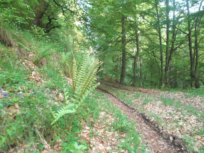 Casa rural para 4 personas, con vistas, Familias con niños en Valle del Nansa - 3