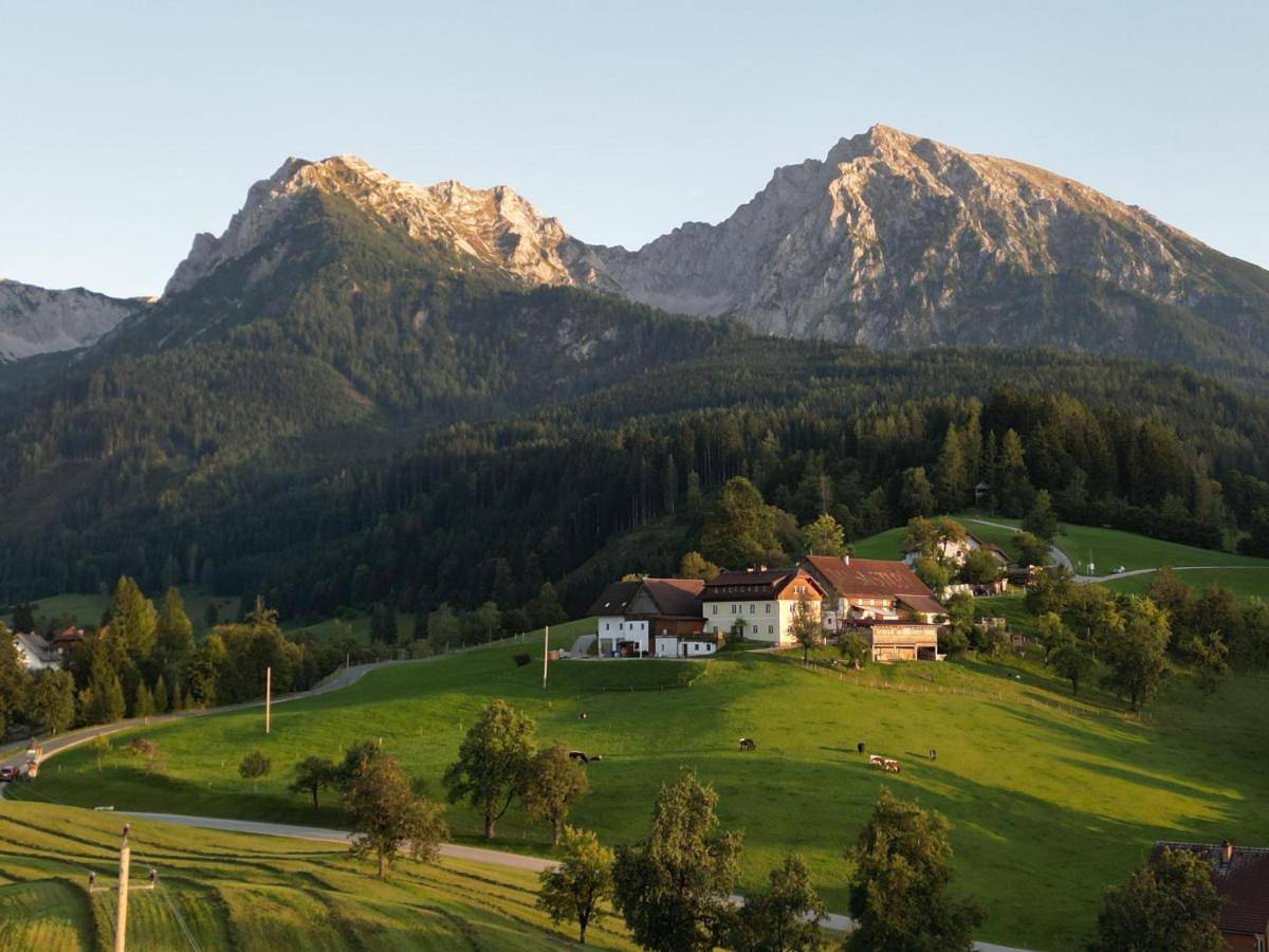 Singerskogel - Ferienhof und Jausnstub`n in Spital am Pyhrn, Kirchdorf an der Krems (Bezirk)