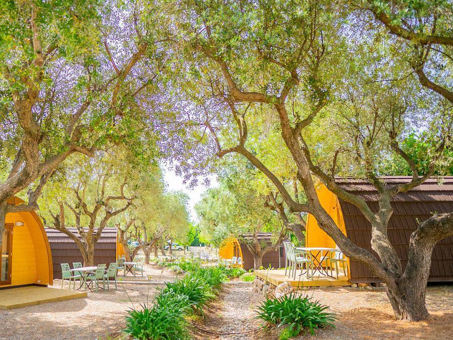 Camping Cambrils Caban - Bungalow 4 personen - Bungalow Pod in Vilafortuny, Cambrils