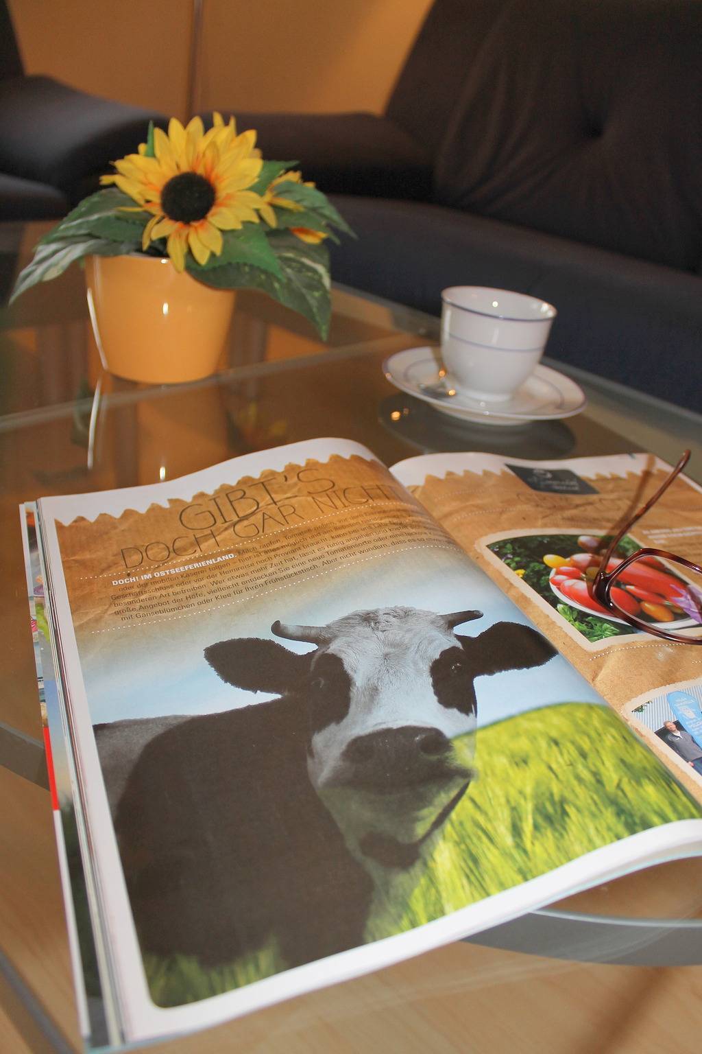 Ganze Ferienwohnung, "Hof Triangel - Whg. 2" - Bauernhofurlaub in Riepsdorf, Ostholstein