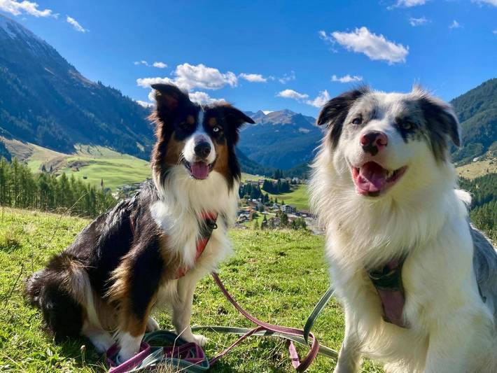 Ferienwohnung für 6 Personen, mit Garten und Ausblick, mit Haustier in Berwang - 3