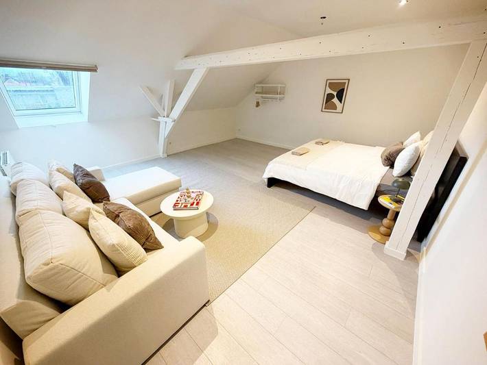 Vakantieappartement voor 16 personen in Gent