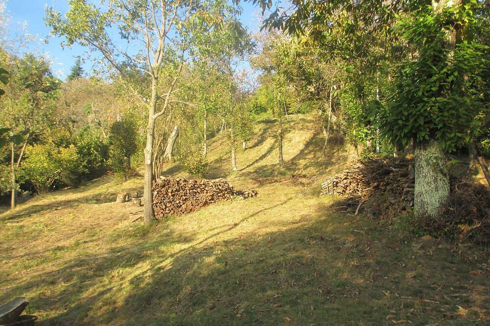 Cottage situato nell'antico castagneto in Castiglione di Garfagnana, Garfagnana