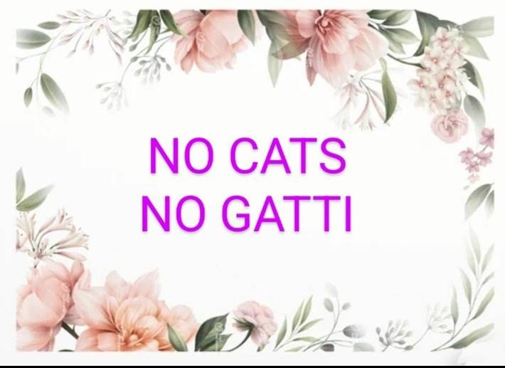 Gîte pour 4 personnes, avec terrasse et vue, animaux acceptés à Reggio d'Émilie - 4