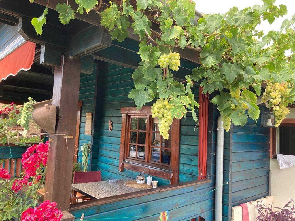 Apartamento entero, One-Bedroom Apartment in Santillana del Mar, Costa de Cantabria