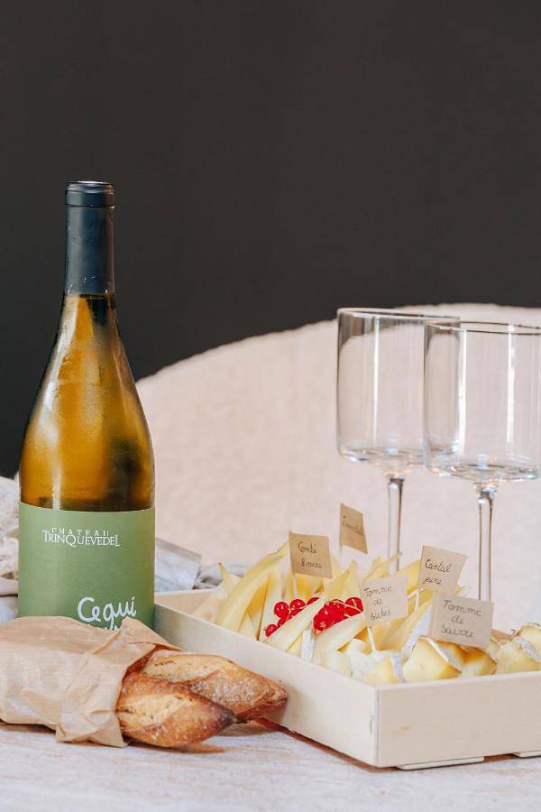 Location de vacances pour 2 personnes, avec terrasse et jacuzzi à Tavel - 4