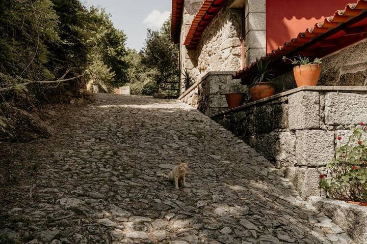 Location de vacances pour 3 personnes, avec vue et jardin à Fafe - 2