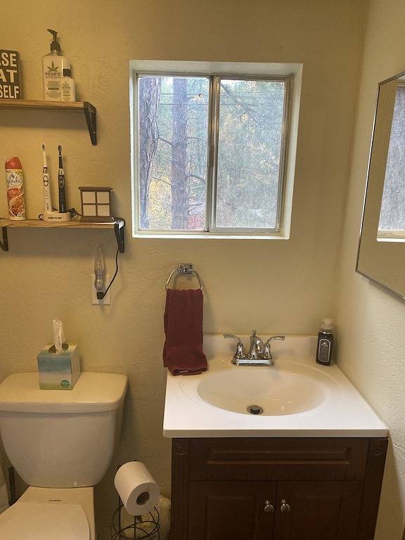 Cozy Cabin in Heart of Tonto Forest in Gila County