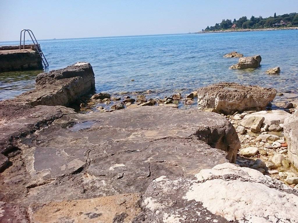 Cijeli apartman, Apartman in Umaška regija