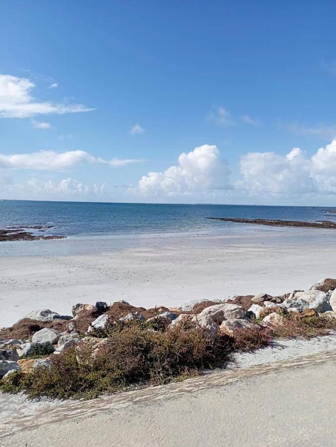 Camping pour 6 personnes, avec bassin pour enfant ainsi que terrasse et piscine à Sarzeau - 3