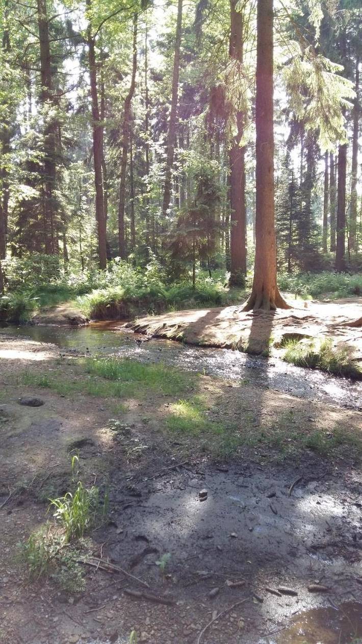 BnB für 2 Personen, mit Garten und Terrasse in Sachsen - 2