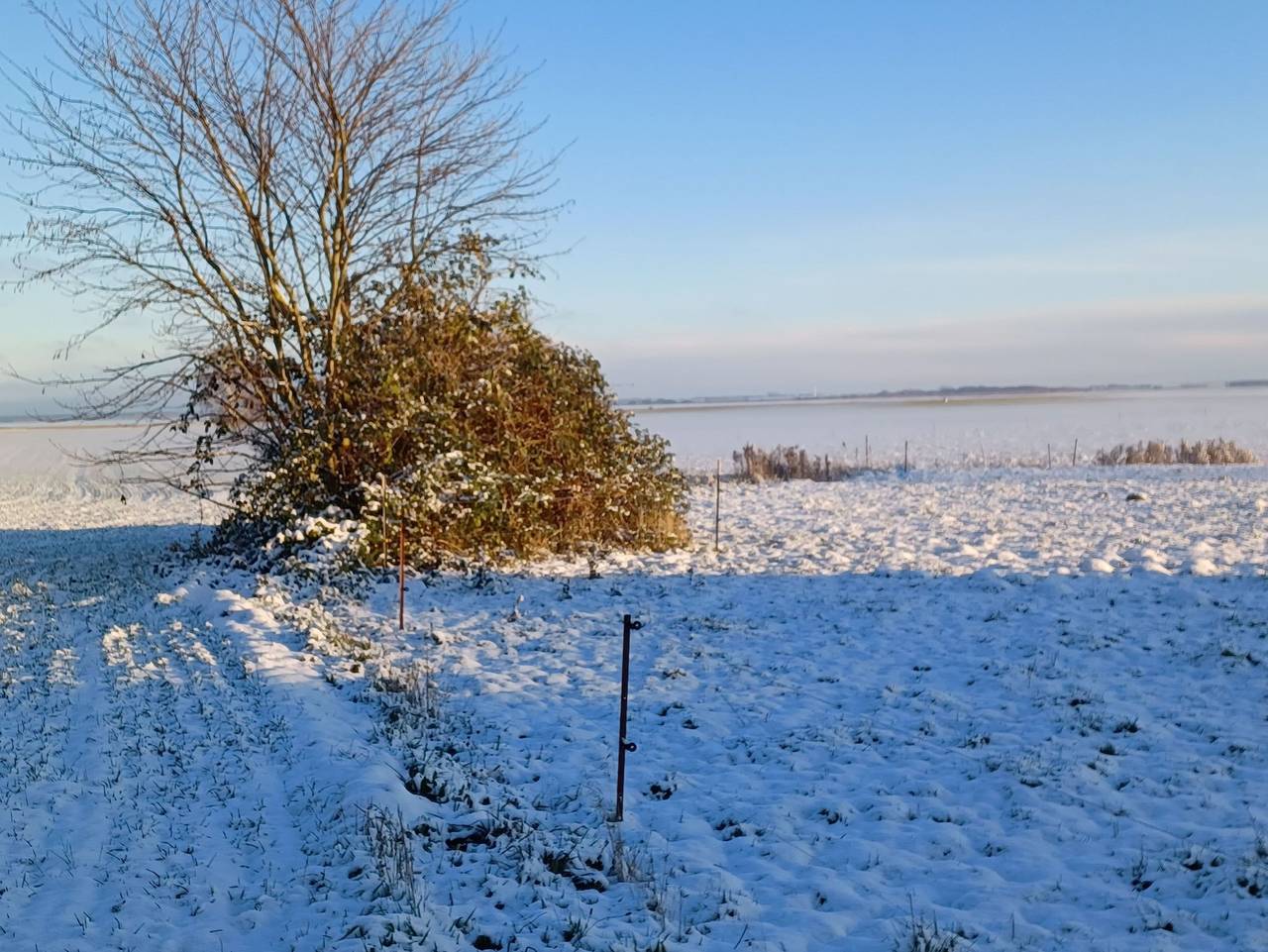 Ganze Ferienwohnung, Appartement Bianca - Id 44289 - Appartement Bianca in Wustrow, Fischland