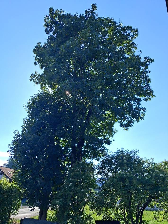 Ferienwohnung für 4 Personen in Wildschönau - 4