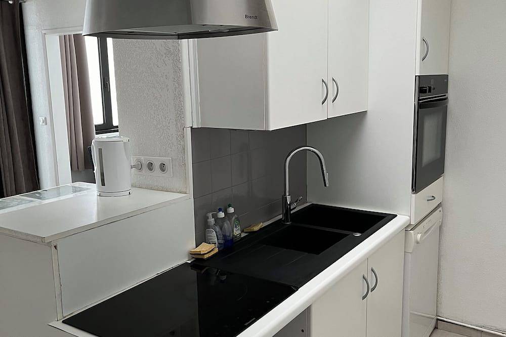 Geheel appartement, 6/8-person apartment, south-facing, in resort center  in Super Besse, Besse-et-Saint-Anastaise