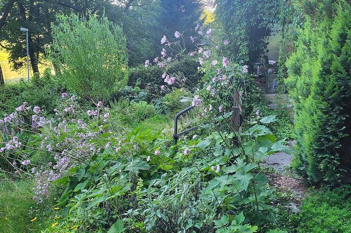 Romantische Gartenlaube mit Elbblick in Königstein, Elbsandsteingebirge