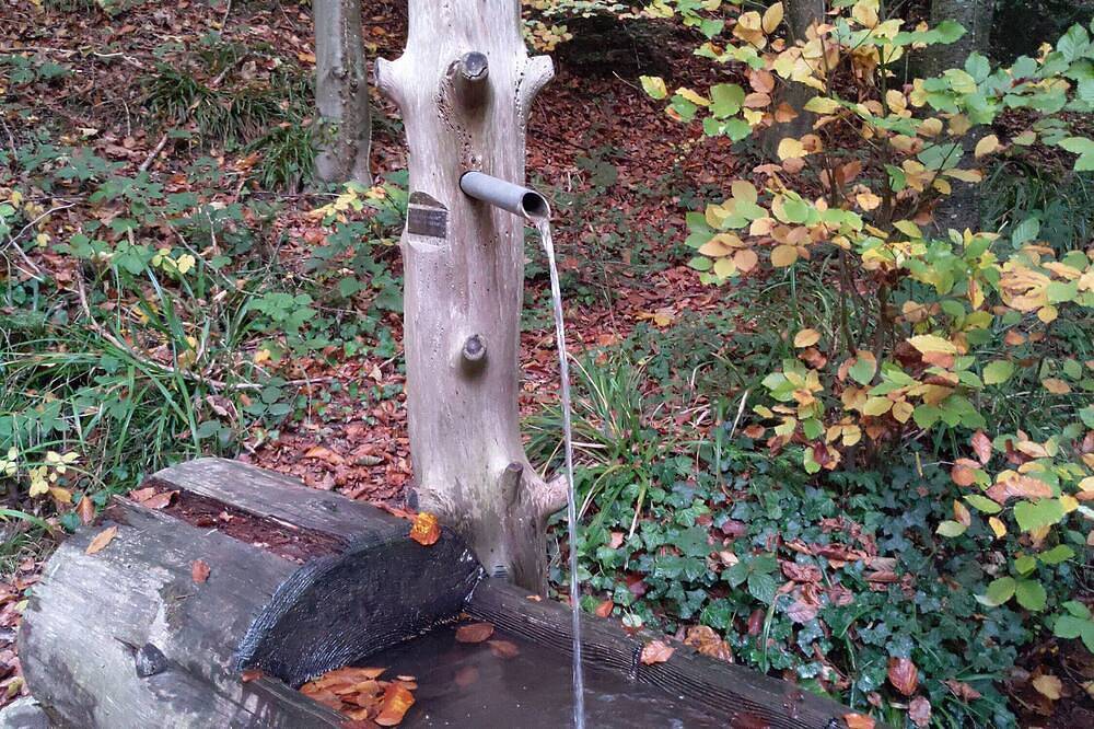 Ganze Wohnung, Ferienwohnung 'Am Sulzbach' mit Privatterrasse und Wlan in Sulzburg, Südschwarzwald