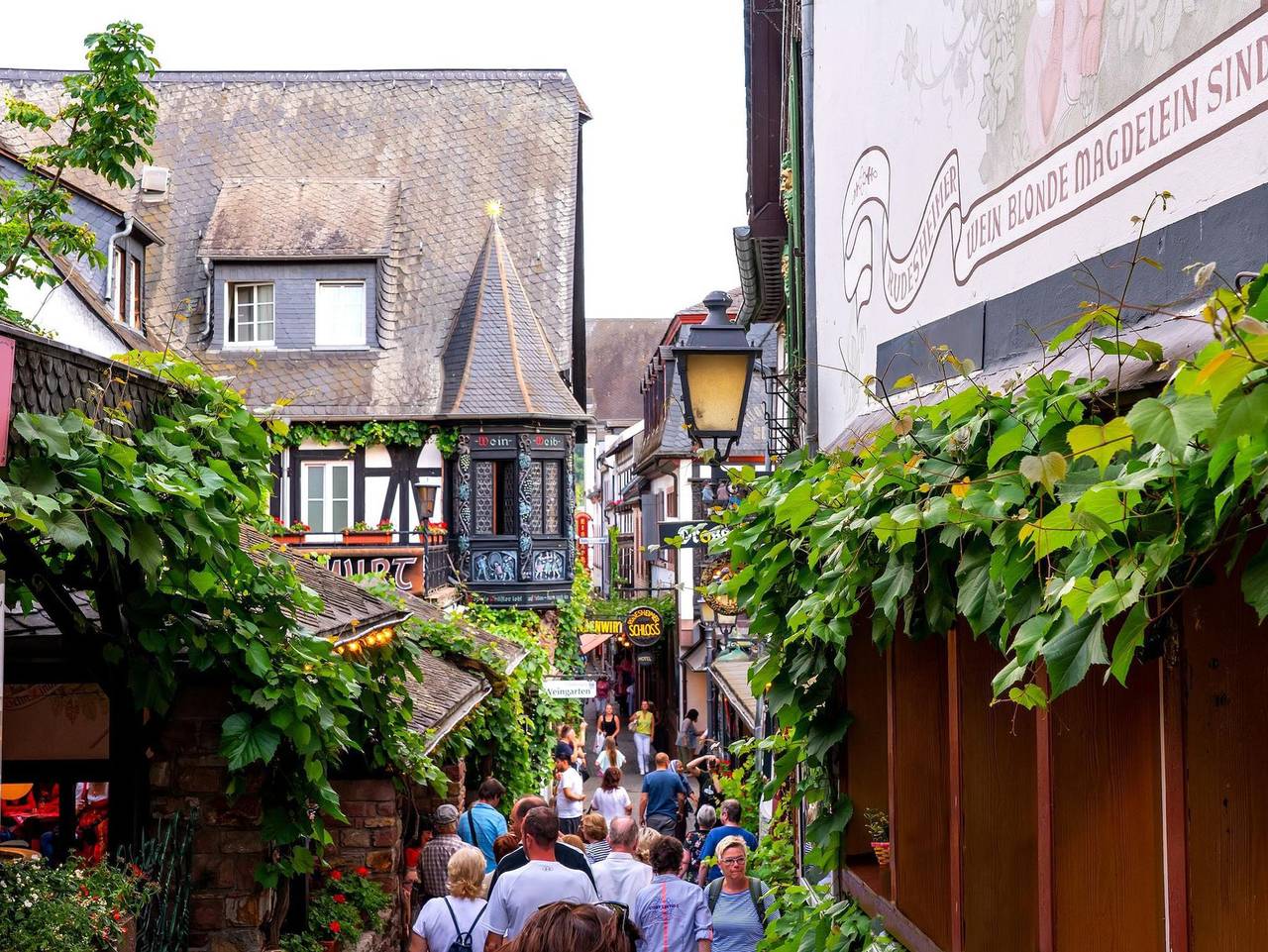 Ganze Ferienwohnung, Ferienwohnung an der Drosselgasse - Labed in Rüdesheim am Rhein, Rheingau-Taunus-Kreis