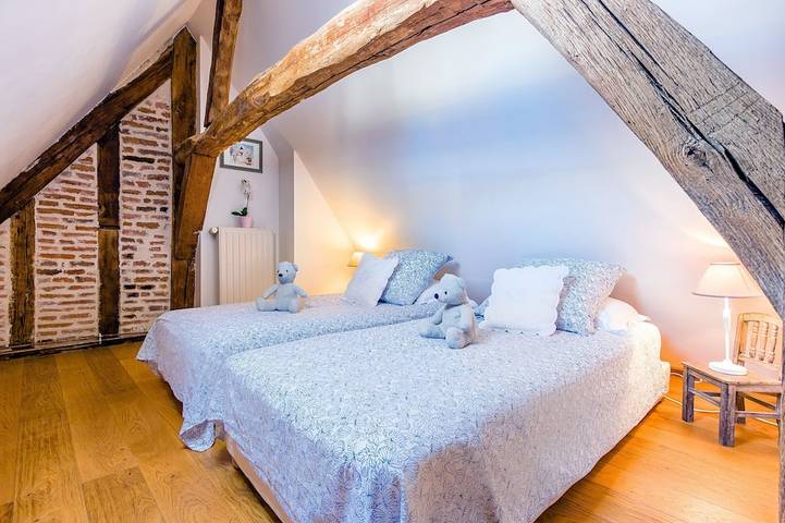 Gîte pour 6 personnes dans Château d'Amboise - 4