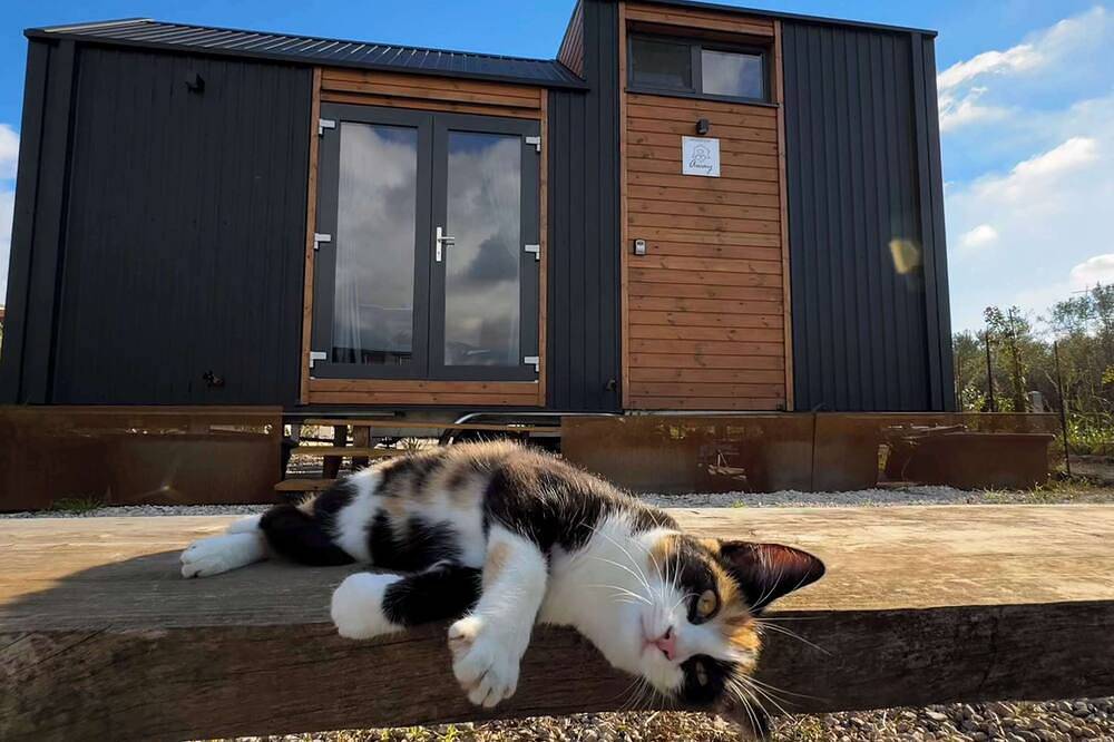 Monteleone 1 by Tiny Away in Battipaglia, Salerno Provinz