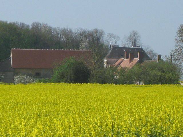 Le Domaine du Grand Vrillon - Chambre in Saint-Pierre-de-Lamps, Région de Châteauroux