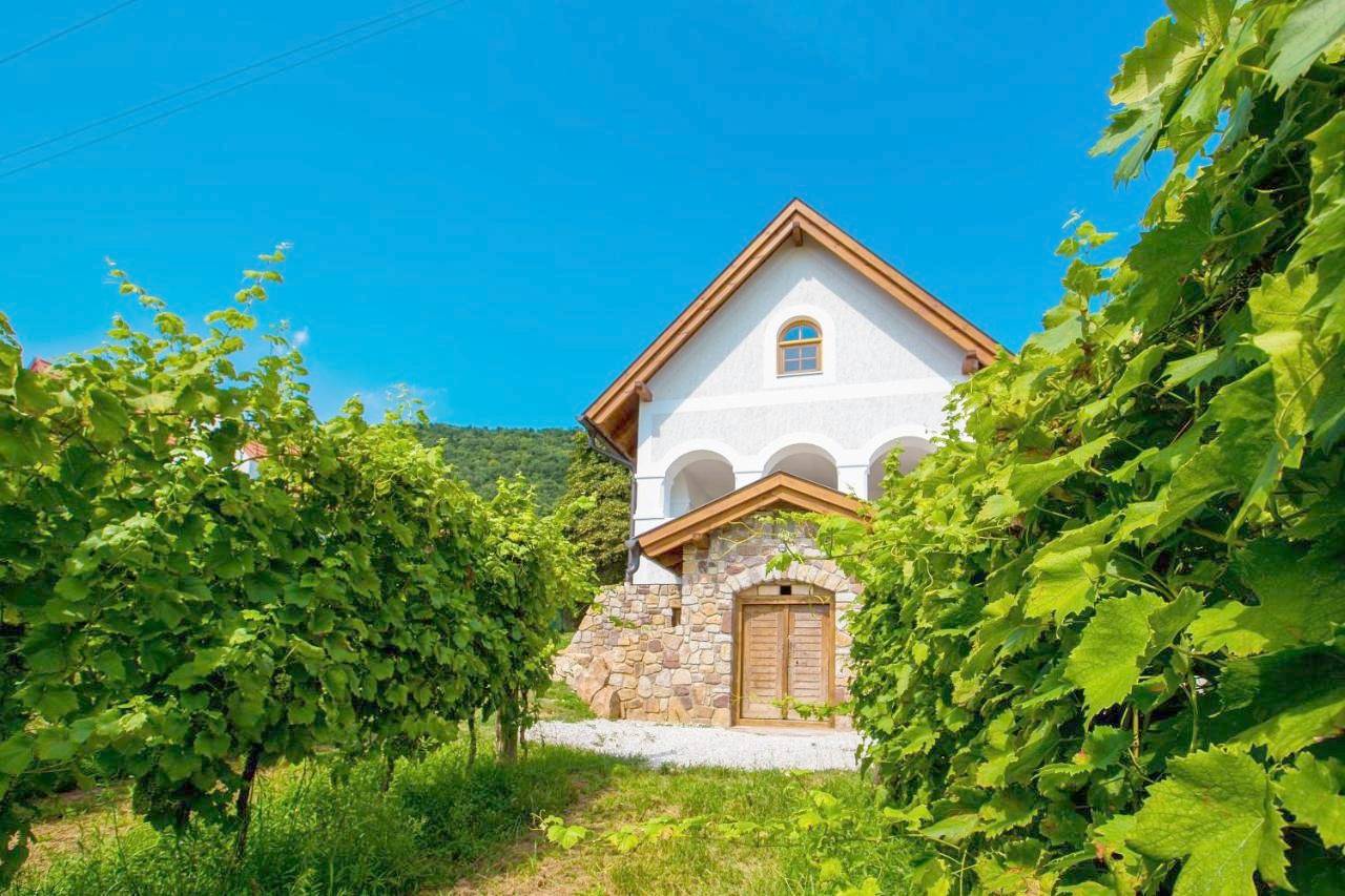 Ganze Wohnung, Csendes Dűlő Szőlőbirtok Guesthouse Badacsonyörs in Badacsonytomaj, Balaton Region