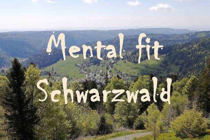 Ganze Wohnung, Apartment 'Mental Fit, 10, Todtmoos' mit Bergblick, Balkon und Wlan in Todtmoos-Mättle, Todtmoos
