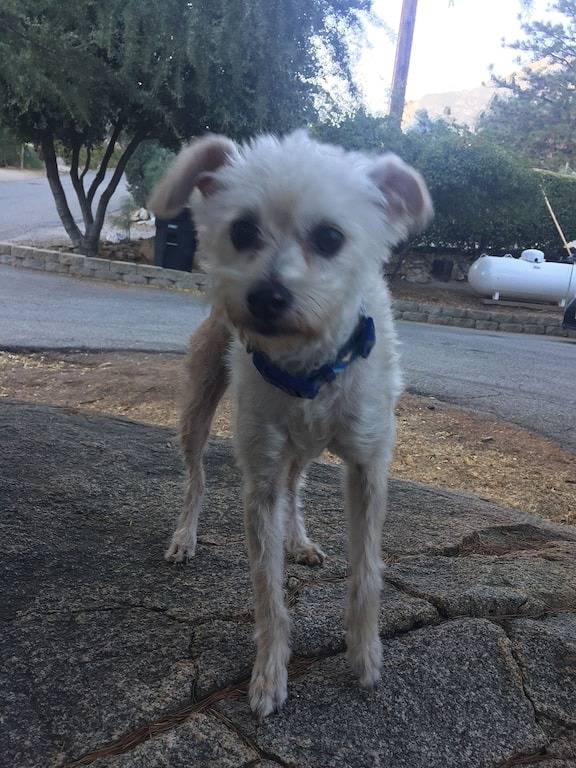 Vacation house for 6 people, with hot tub and terrace in Sequoia National Park