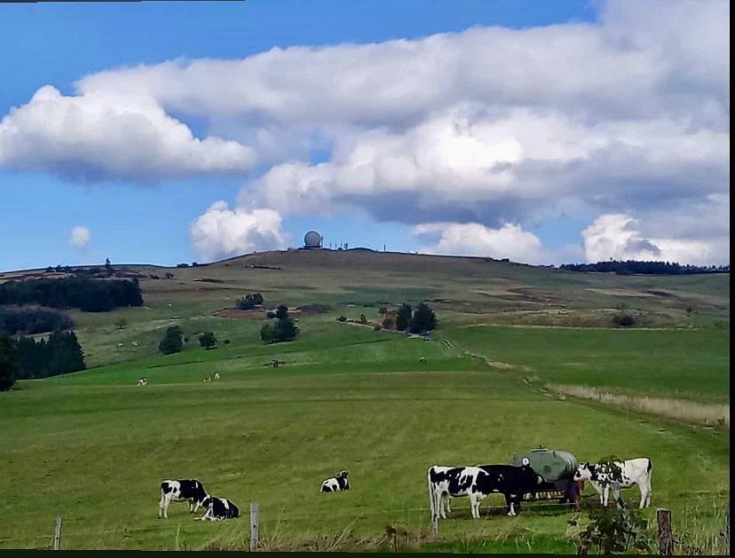 Rhön Glück – Die Ferienwohnung mit Weitblick - Ferienwohnung (60qm) mit Weitblick in Eichenzell, Rhön-Hessen