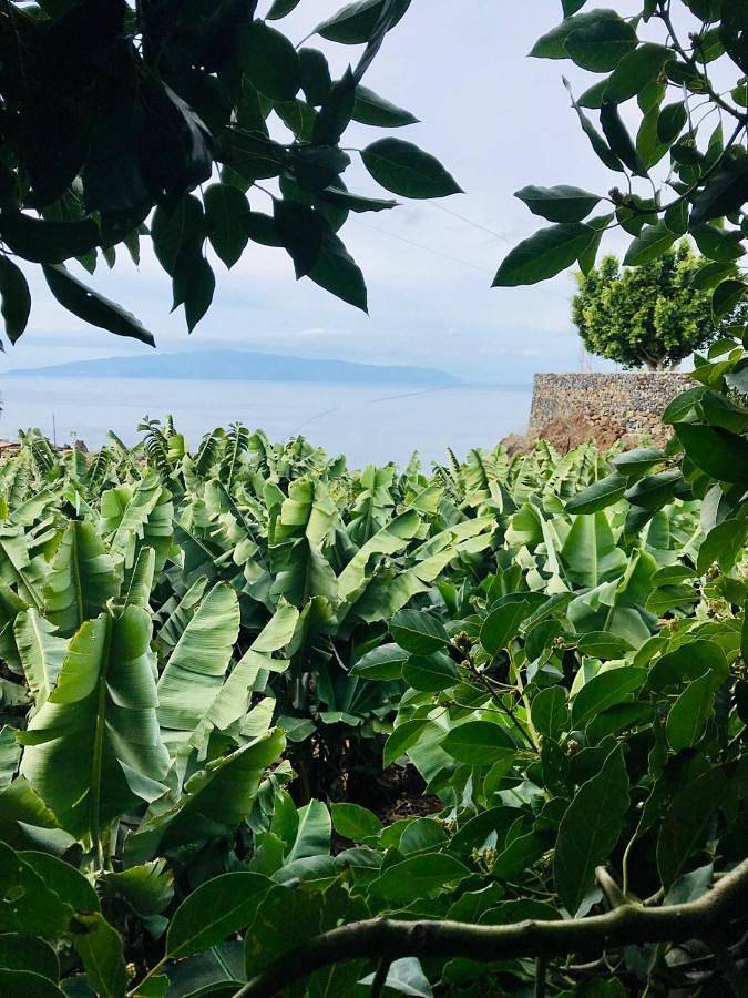 Casa rural para 2 personas, con vistas y jardín en Guía de Isora - 3