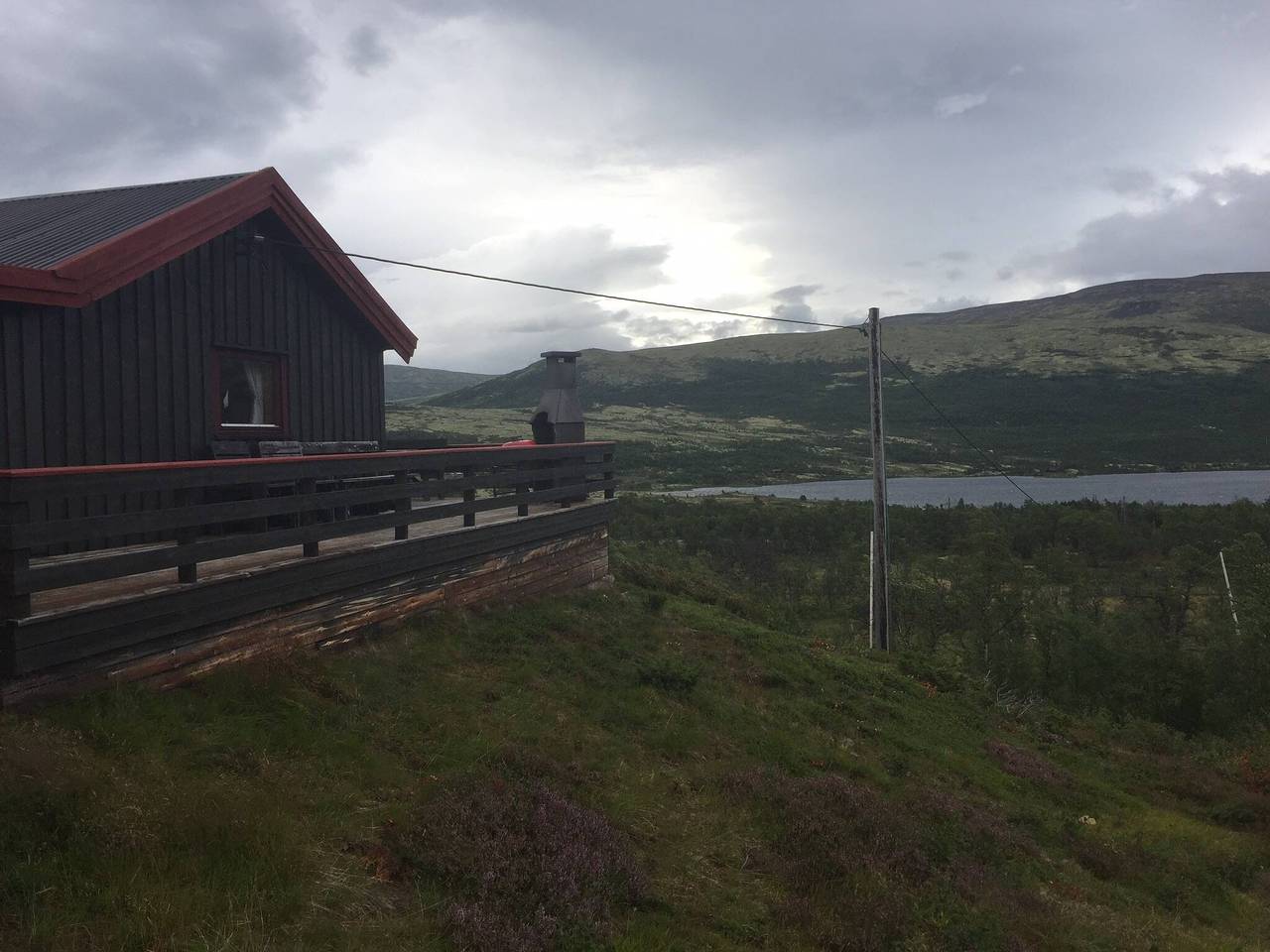 Lebe im Reich der Moschusochsen auf Dovrefjell in Dovre