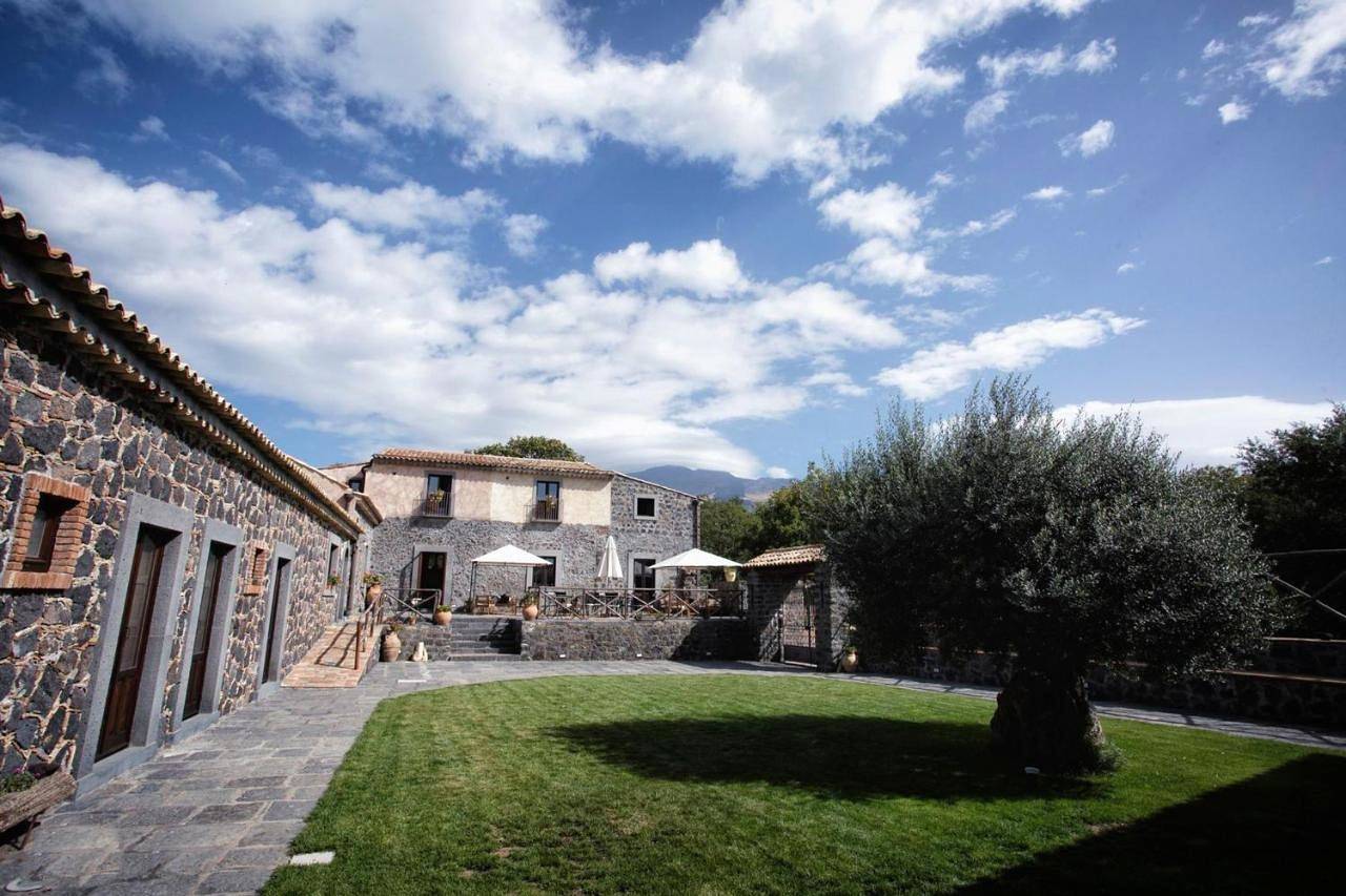 Bosco Ciancio in Biancavilla, Etna