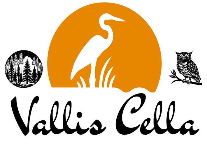 Location de vacances pour 8 personnes, avec vue et terrasse à Doische - 2