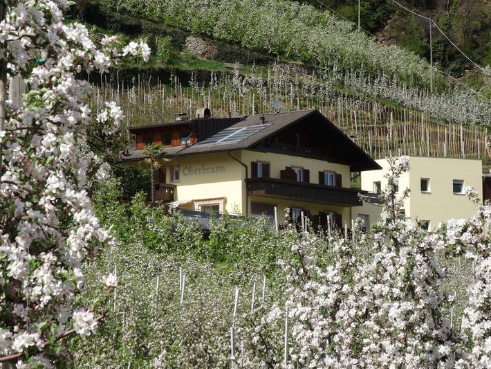 Ferienwohnung für 3 Personen, mit Garten, mit Haustier in Naturns