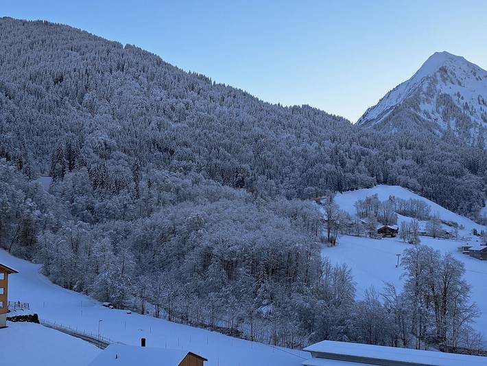 Bauernhof für 7 Personen, mit Ausblick und Garten im Bregenzerwald - 3
