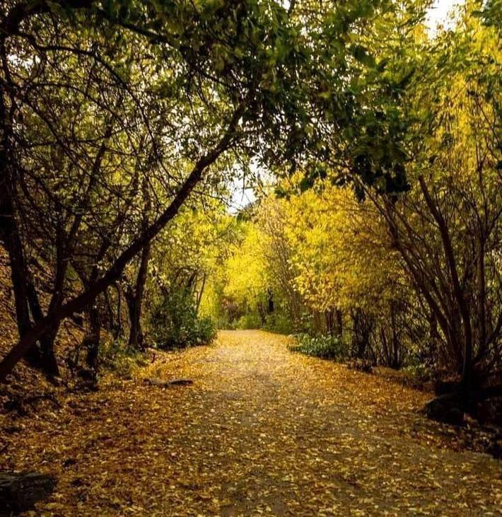 Bed and breakfast per 2 persone, con panorama e giardino - 1