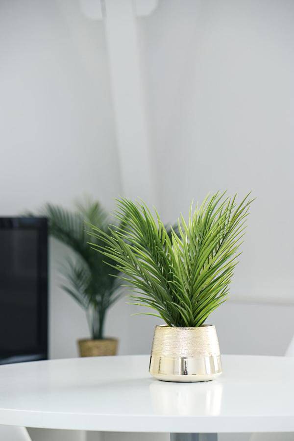 Gîte pour 7 personnes, avec vue, animaux acceptés à Vaires-sur-Marne - 3