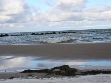 Ferienhaus für 2 Personen in Dierhagen, Fischland - Darß - Zingst, Bild 4