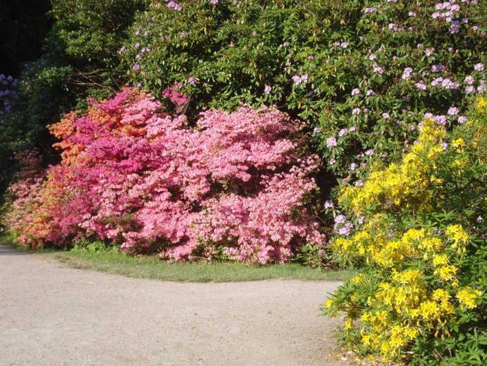 Ferienwohnung für 4 Personen, mit Balkon in Graal-Müritz - 4