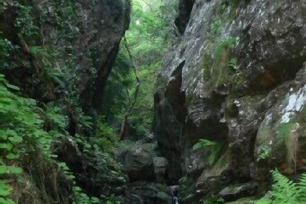 Gite rural  les chataigniers en ardèche méridionnale in Saint-Mélany, Parc naturel régional des Monts d'Ardèche