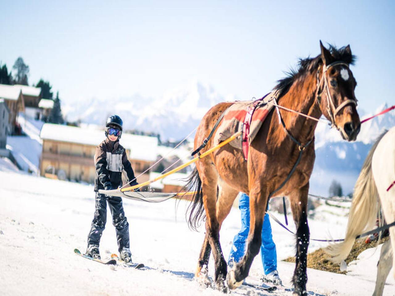 Appartement entier, Cottage à Champsaur près des stations de ski in Saint-Bonnet-en-Champsaur, Parc national des Écrins
