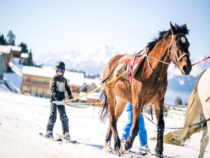 Appartement de vacances pour 8 personnes, avec piscine et terrasse, animaux acceptés