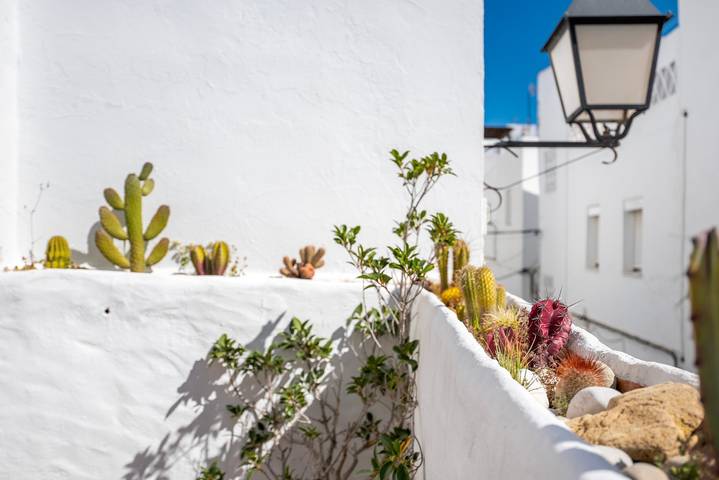 Ferienhaus 'Casa De Romero - Solo Familias' mit privater Terrasse und WLAN in Conil de la Frontera, Costa de la Luz