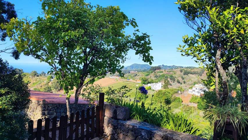 Casa rural para 4 personas, con jardín además de vistas y piscina, Se admiten mascotas en Santa María de Guía de Gran Canaria - 3