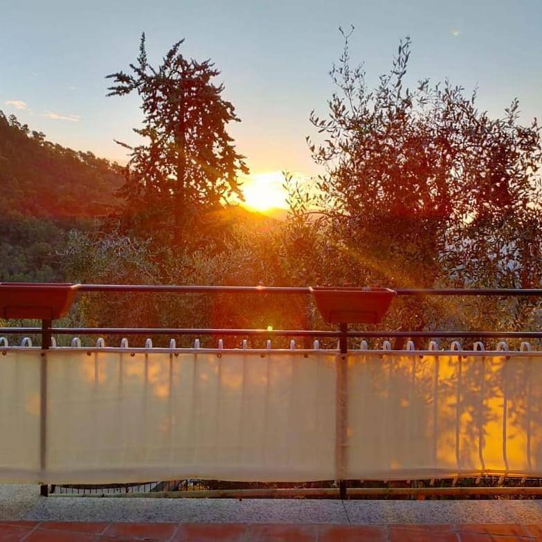 La Terrazza dei Moi, Soggiorno relax nel verde in Villatella, Ventimiglia