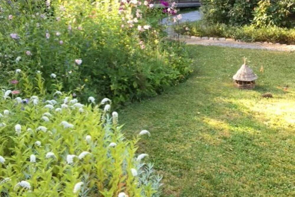 Rougemont Hideaway Chalet by the River in Rougemont, Alpes Vaudoises