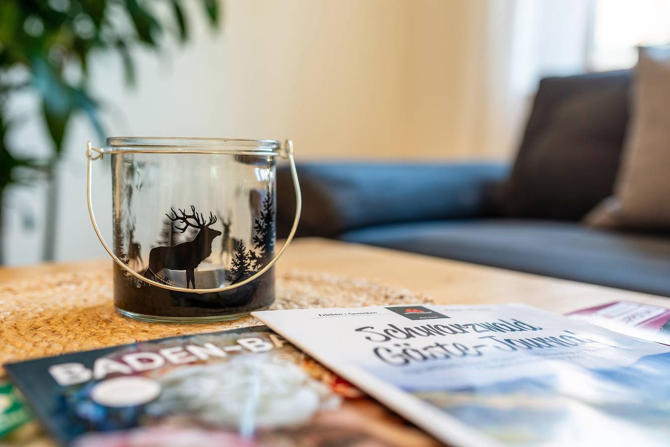 Apartamento entero, Apartamento vacacional "Liebich" con balcón y Wi-Fi in Bühl, Selva Negra Central