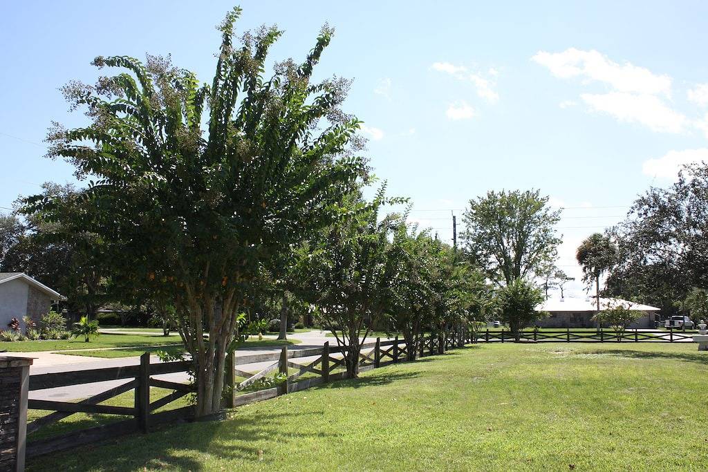 Ganze Wohnung, Rocket City Retreat Studio Titusville Private Parking Spacex Launch Pet friendly in Titusville, Space Coast