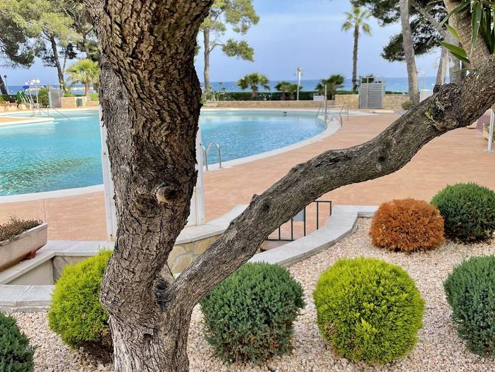 Appartement de vacances pour 4 personnes, avec Balcon et Terrasse ainsi que Jardin et Piscine
